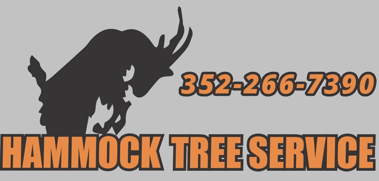 Hammock Tree Service